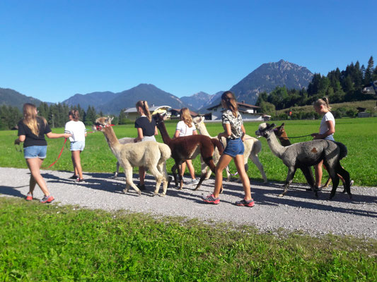Servietten Bauernhof Kindergeburtstag Partysternchen