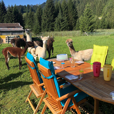 Sudtirol Urlaub Auf Dem Bauernhof Der Thomasegg Hof