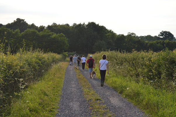 Sam 18 : Marche Association Vouzance et Loire - Dim 19 : Rando des bords de Loire à BAUGY - Rando sur les chemins de Compostelle à ISSY L'EVEQUE - 