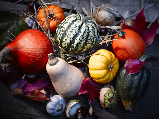 Foto des Monats "September/Oktober"