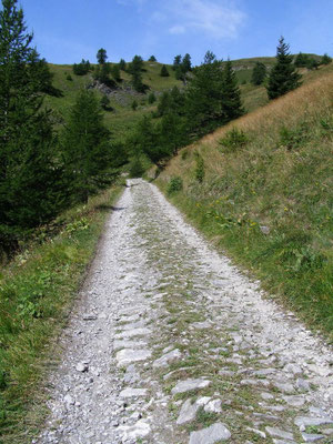 Mulattiera in cui si vedono le tracce di un trattore o di un fuoristrada