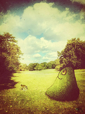 Boson, walking her Dog