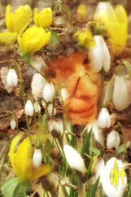 Intellligent Designer