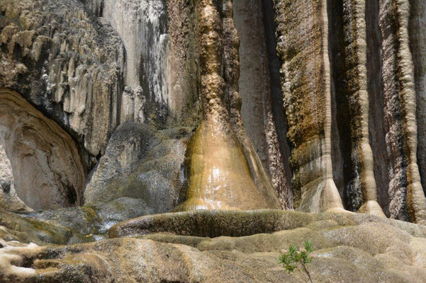 Hierva del Agua