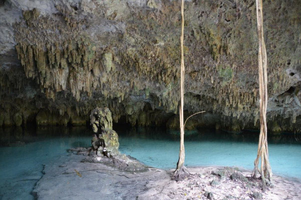 Schwimmen und schnorcheln in einer unterirdischen Cenote