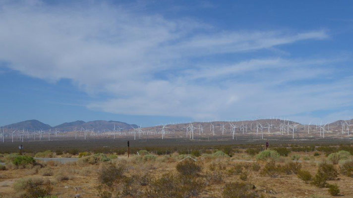 Windräder bei Palm Springs