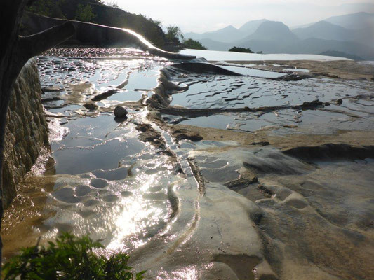 Hierva del Agua