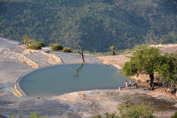 Hierva del Agua