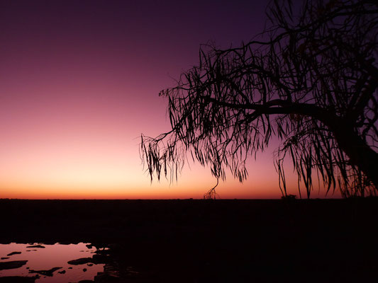 Etosha Nationalpark - Immer wieder traumhafte Sonnenuntergänge