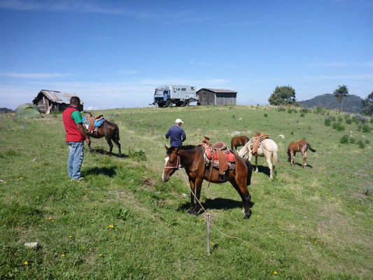 Ready for horse-back riding