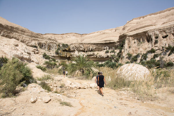 Wadi Shuwaimiyah