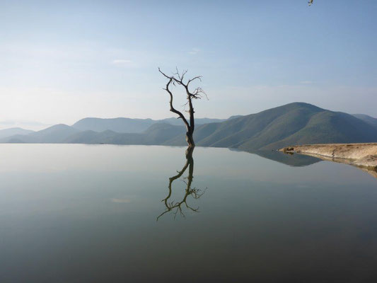 Hierva del Agua