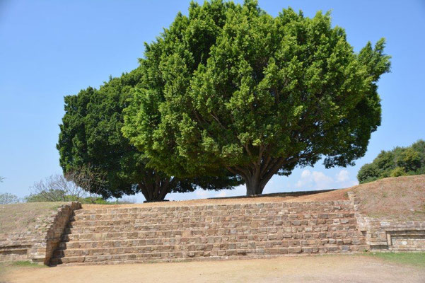 Monte Alban