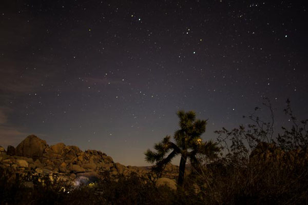 Joshua Tree NP