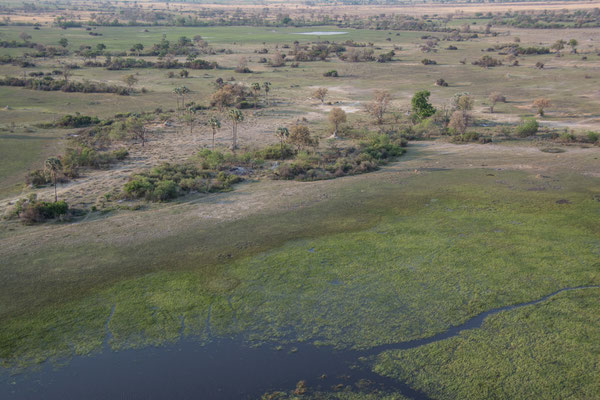 Helicopter flight over the Okavango Delta