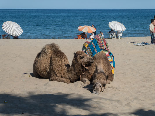 Warten auf Kundschaft am Strand von Martil