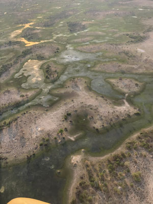 Helicopter flight over the Okavango Delta