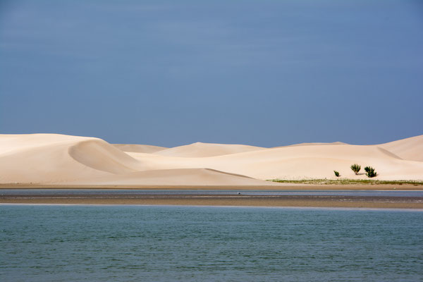 Alexandria dunes