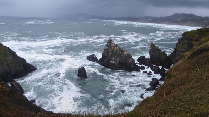 Wilde Küstenlandschaft in Oregon