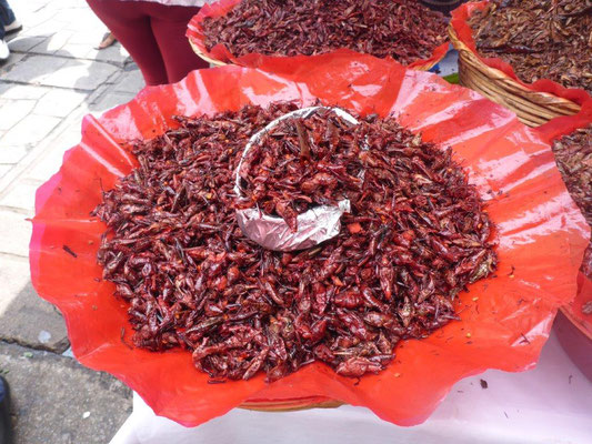 Heuschrecken auf dem Markt in Oaxaca