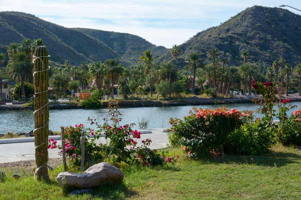 Campground in Mulege