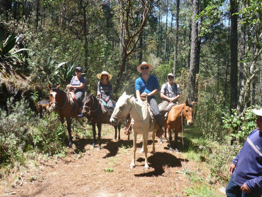 Horse-back riding