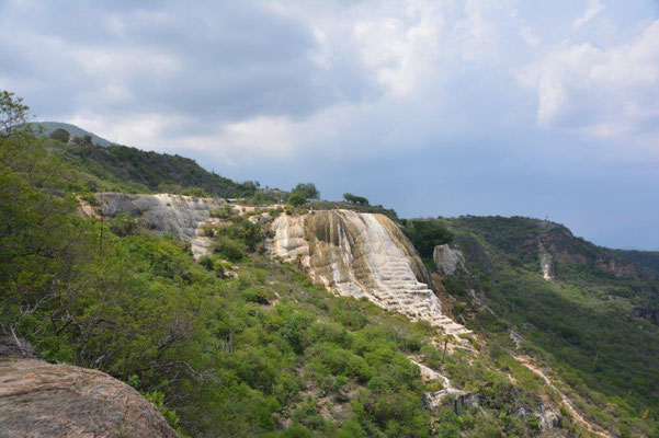 Hierva del Agua