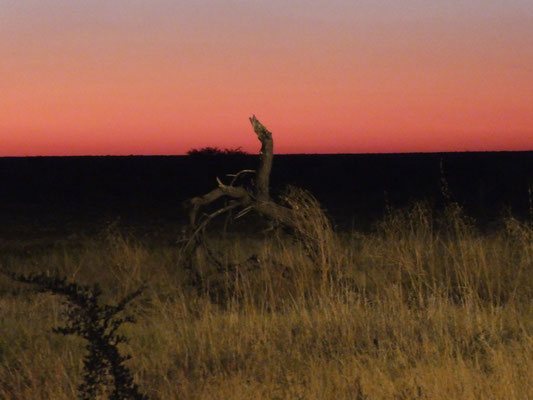 Etosha Nationalpark - Traumhafte Sonnenuntergänge