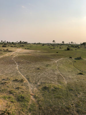 Helicopter flight over the Okavango Delta