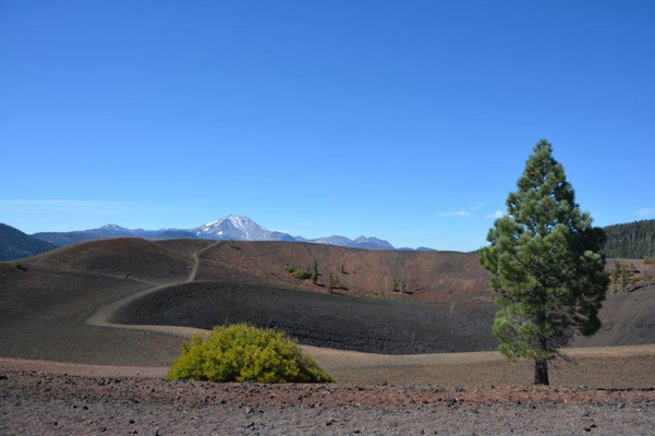 Cinder Cone im Lassen NP