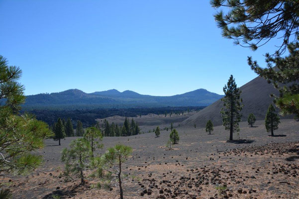 Cinder Cone im Lassen NP