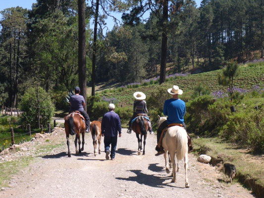 Horse-back riding