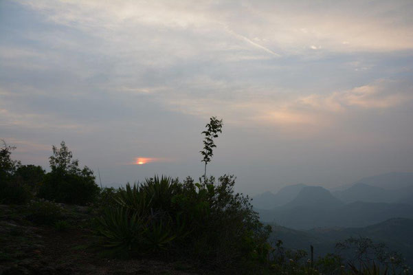 Hierva del Agua