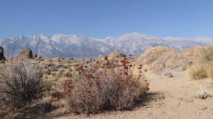 Alabama Hills