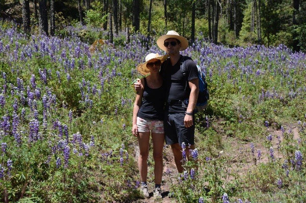 Nice hike in a beautiful landscape