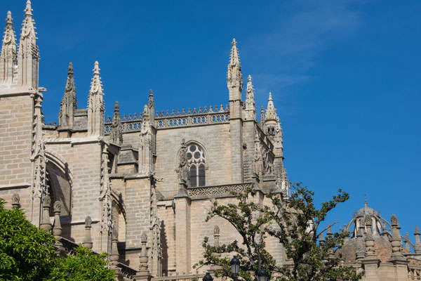 Cathedrale of Sevilla