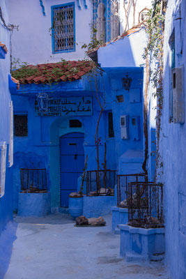 all is blue in Chefchouen