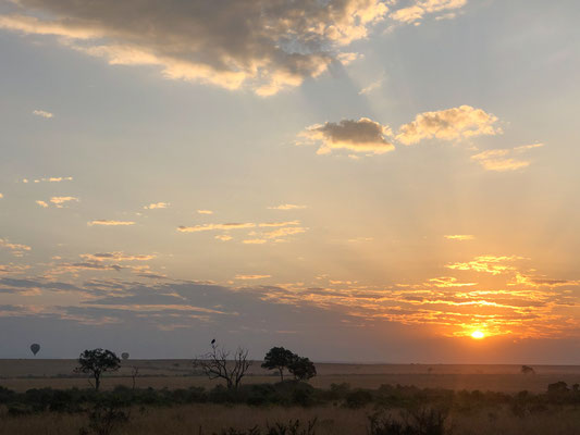 Sonnenaufgang in der Maasai Mara