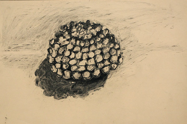 Woman of Willendorf hair cut VII 2016 charcoal on paper 35x50.jpg