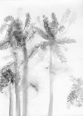 Palm_2017_watercolor_on_paper_24x17