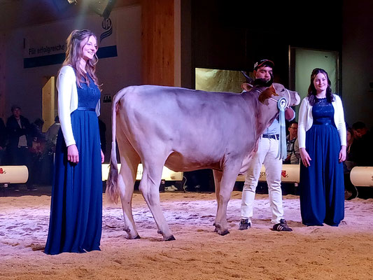 Champion Rindernightshow Hedi, Jungzüchter Joshua Zemp
