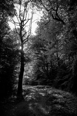 Chemin calm et frais toute l'ann&e