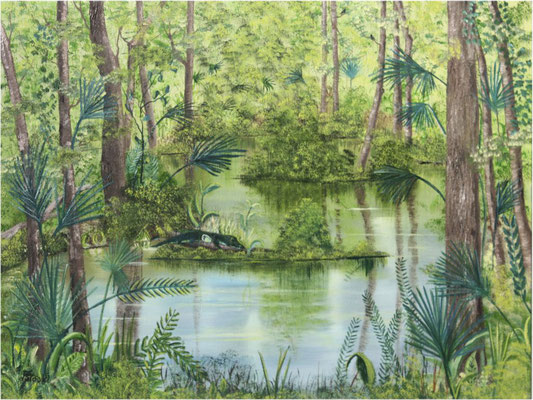 Nr.148 Everglades. Format 40x60 Breitkeilrahmen