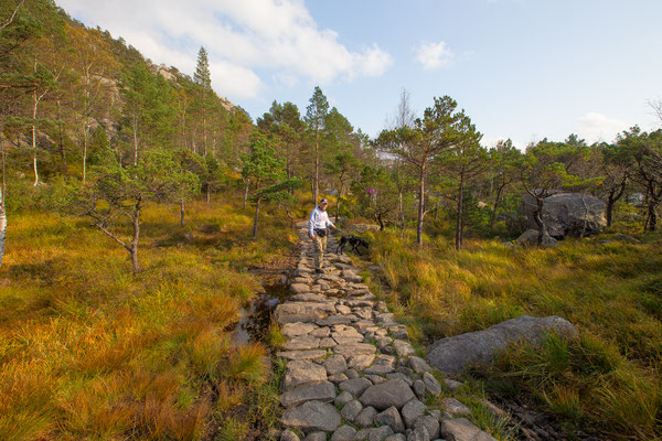 Wanderung_Preikestolen_Norwegen_Wohnmobil_Hund_Die Roadies