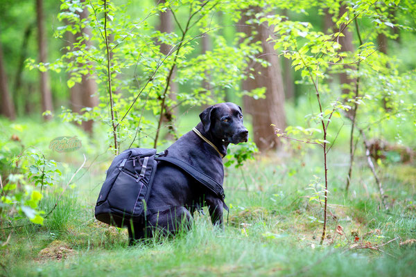 Vanguard_Kooperation_Blogger_Reiseblogger_Fotograf_Landschaftsfotografie