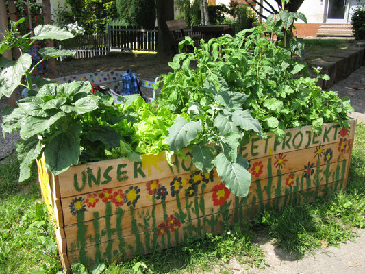 Foto: Kita Walsheim-Knöringen