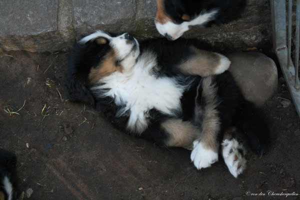 Positionswechsel bei Bonbon ♥