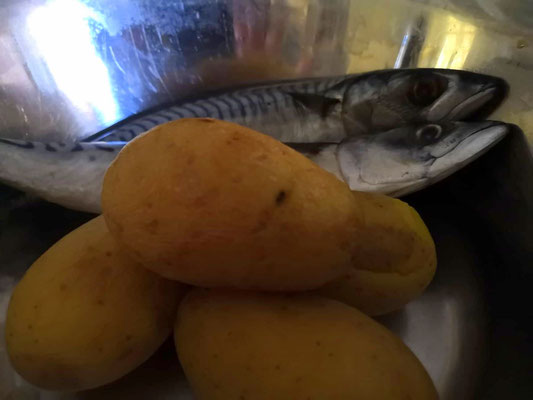 Makrelen mit gekochten Kartoffeln
