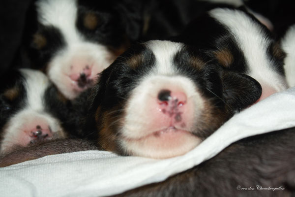 Nach dem Trinken bei Mama - Satt und zufrieden :-)