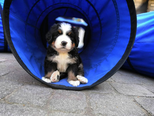 Bonbon - Der Tunnelwächter ;-)